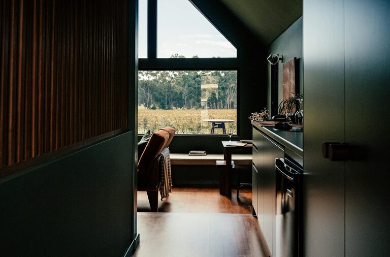 How to Refresh Your Home with Plants: Easy Tips for a Greener Space